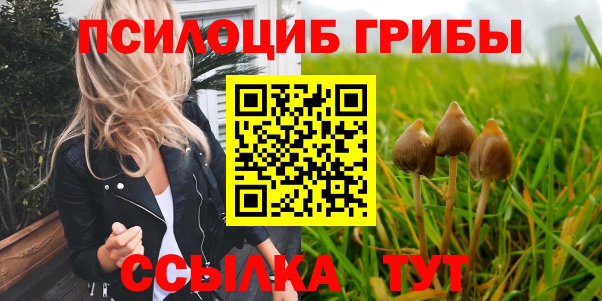 Псилоцибиновые грибы Cubensis  Вход с VPN  Псилоцибиновые грибы ЛСД  Нижний Новгород 